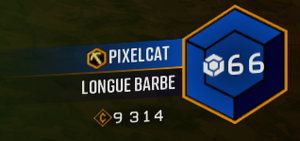 Badge de Joueur.png